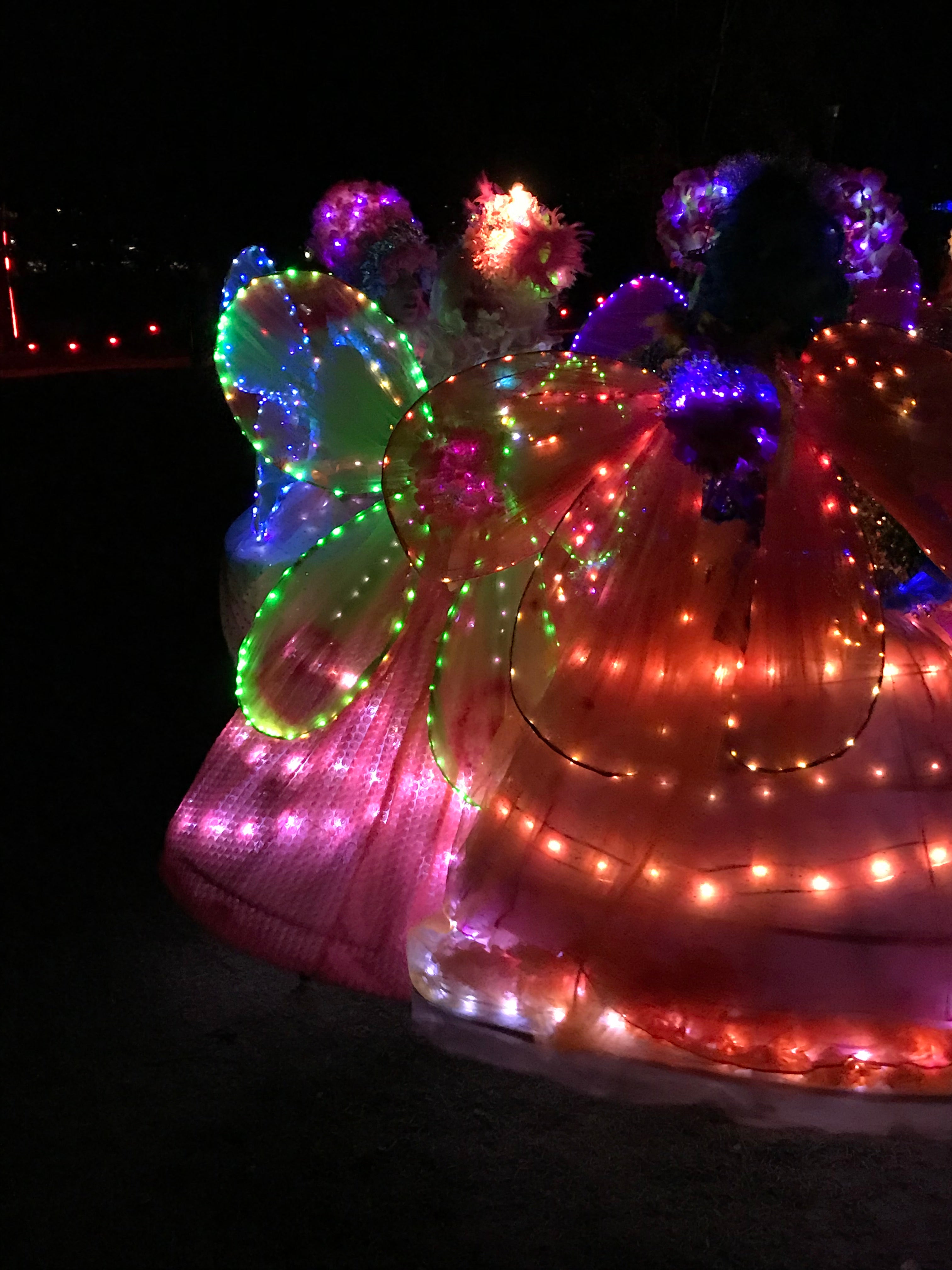 LUMA Light Festival, Queenstown 2024