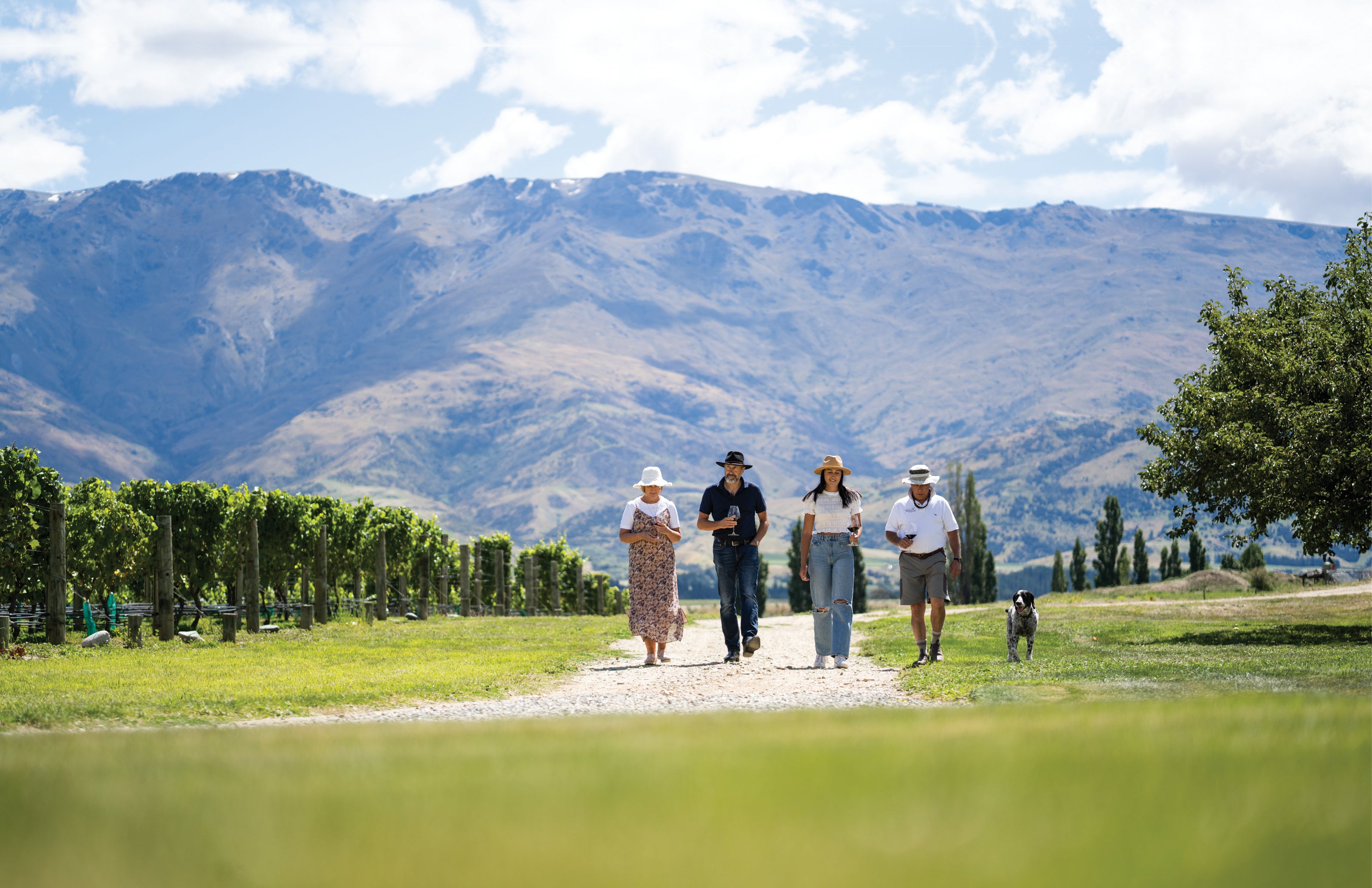 Central Otago cellar door, New Zealand Wine